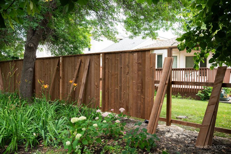 Privacy fence, Bridgwater