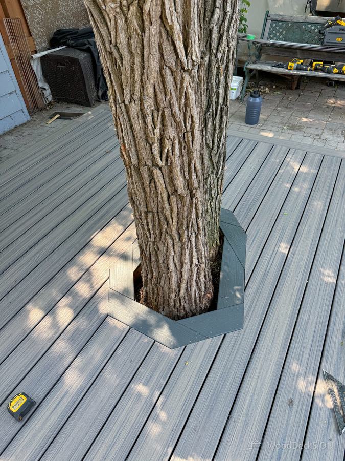 Inlays & cut-outs around trees